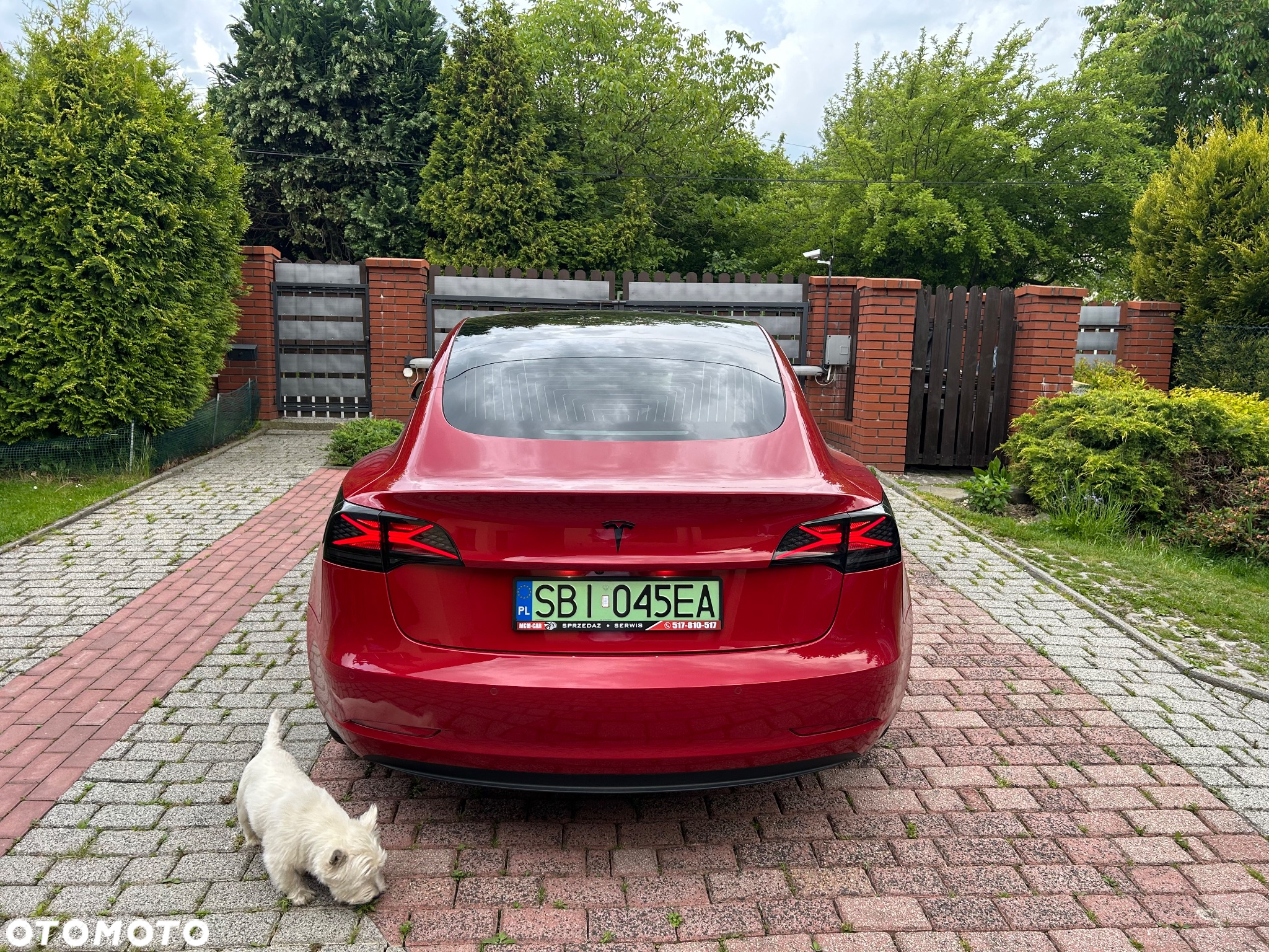 Tesla Model 3 Long Range RWD - 8