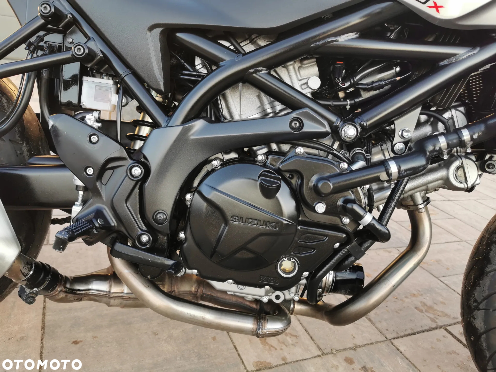 Suzuki SV - 22