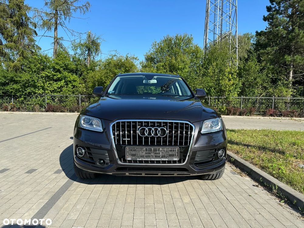 Audi Q5 2013 photo 3