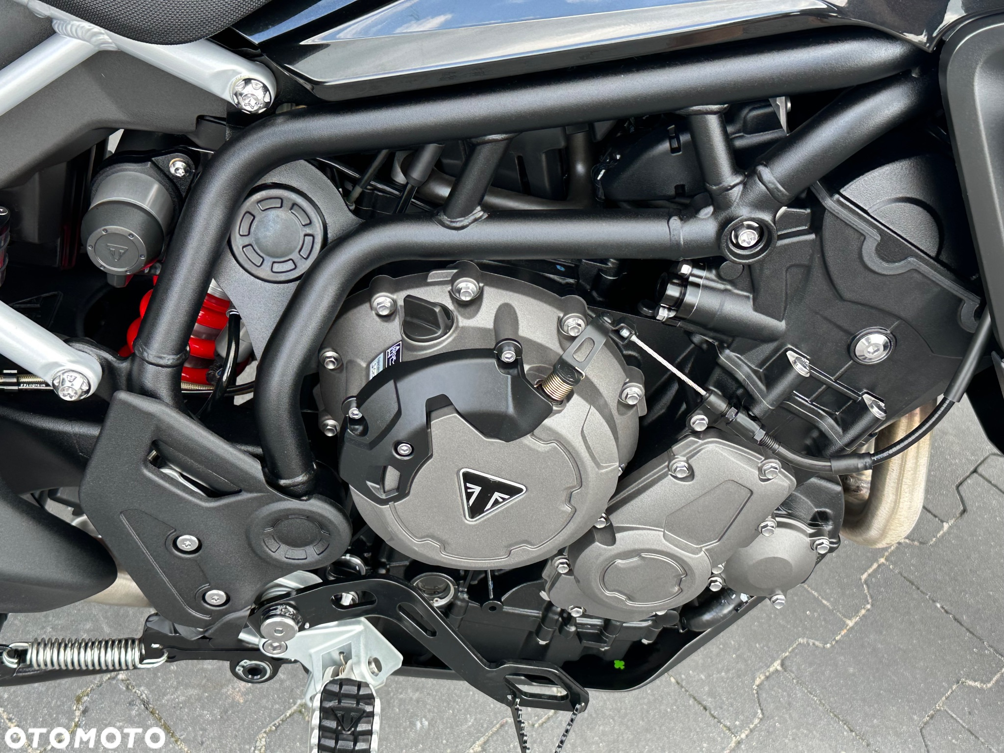 Triumph Tiger - 14