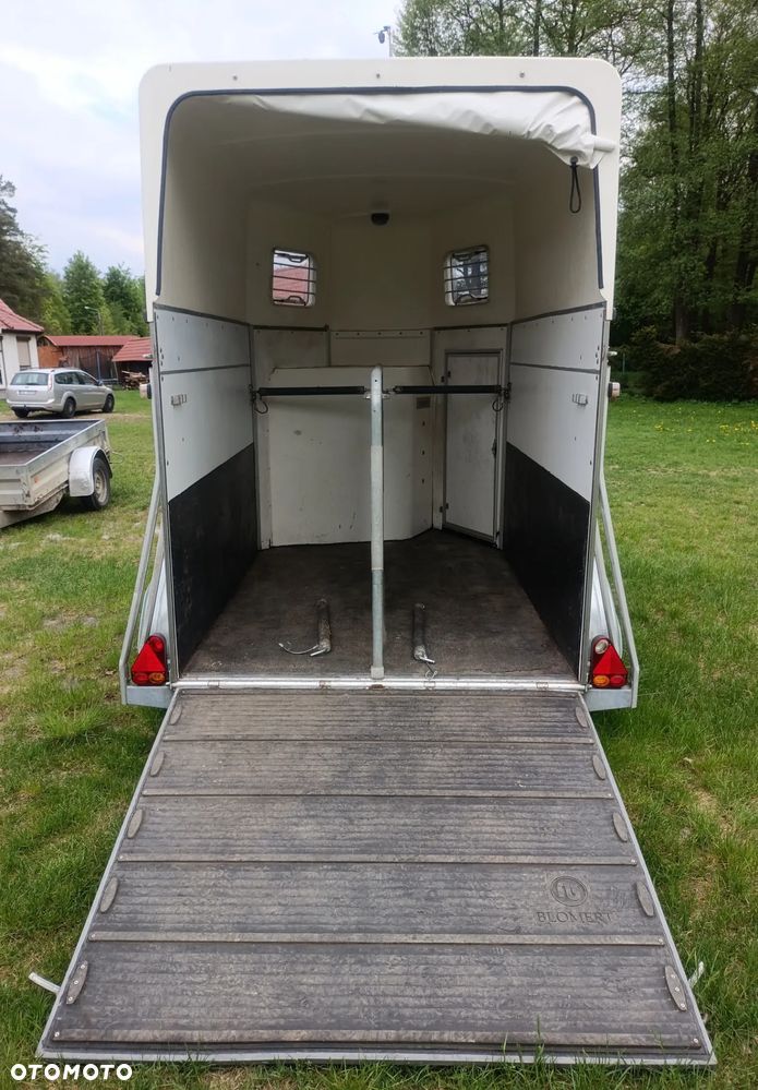 Blomert - 19