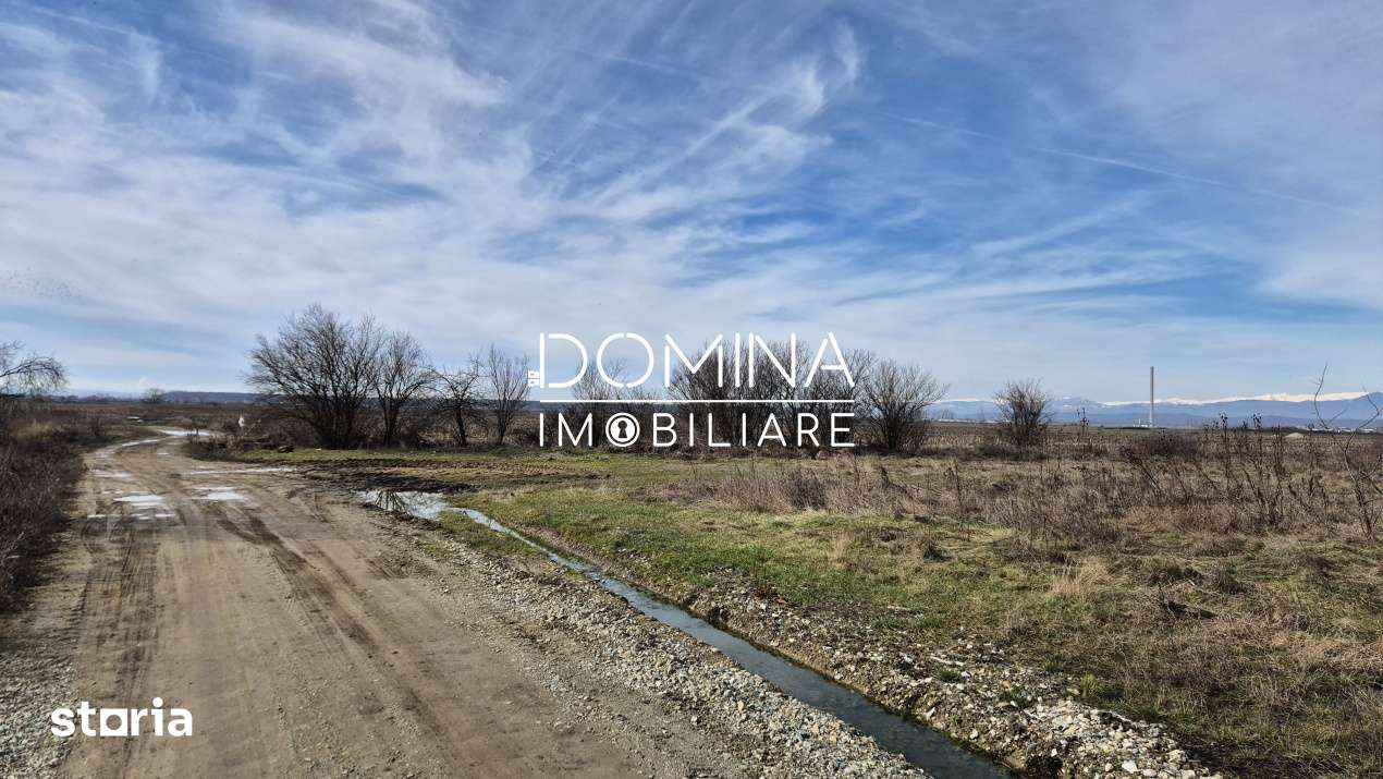 Vanzare teren - la 6 km de Tg. Jiu - situat in Sat Bucureasa, Comuna D - Imagine principală: 3/5