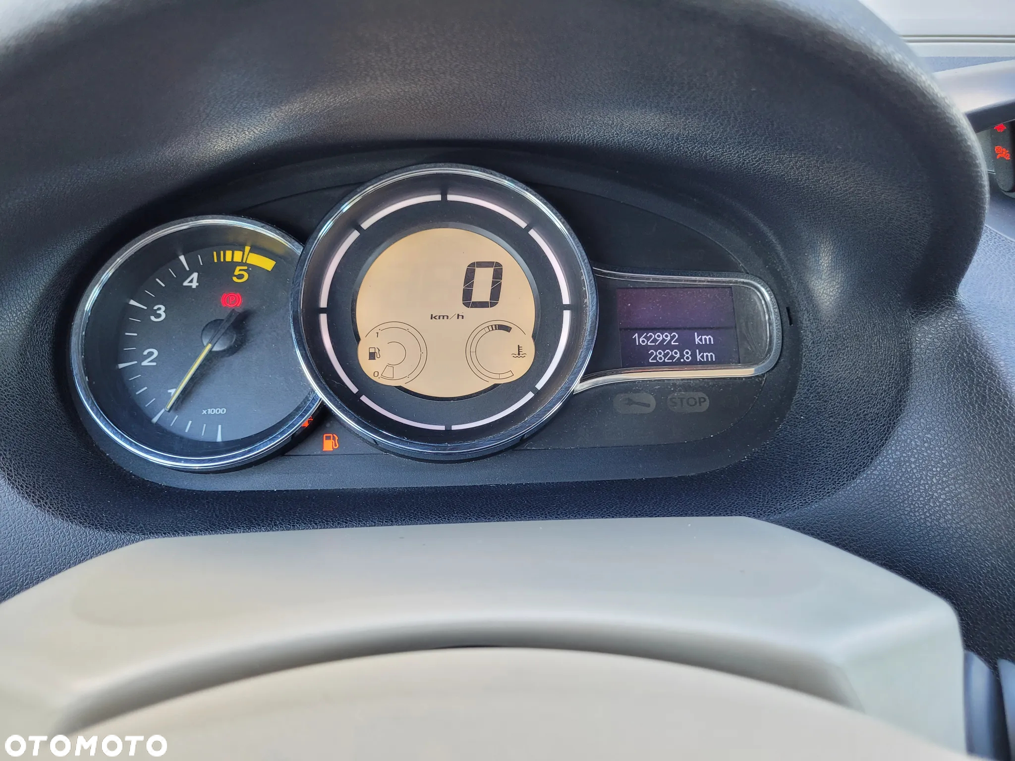 Renault Megane - 24