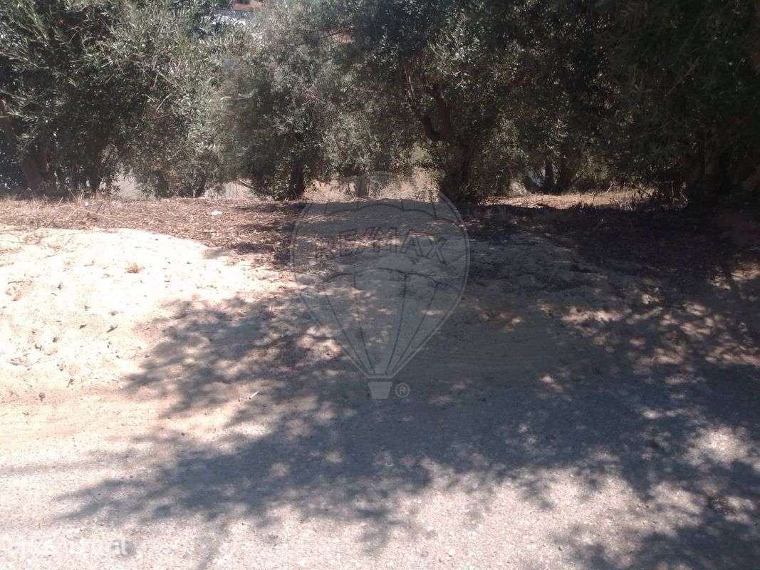 Terreno  para venda - Grande imagem: 4/11