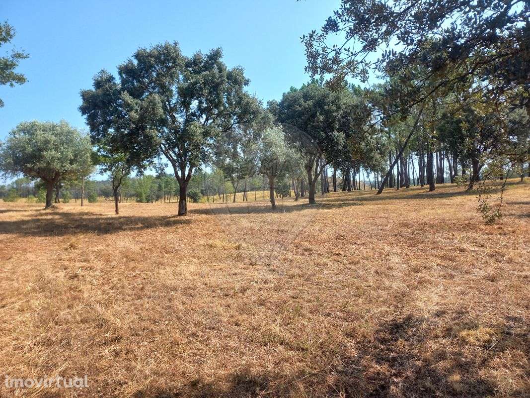 Terreno  para venda - Grande imagem: 2/13