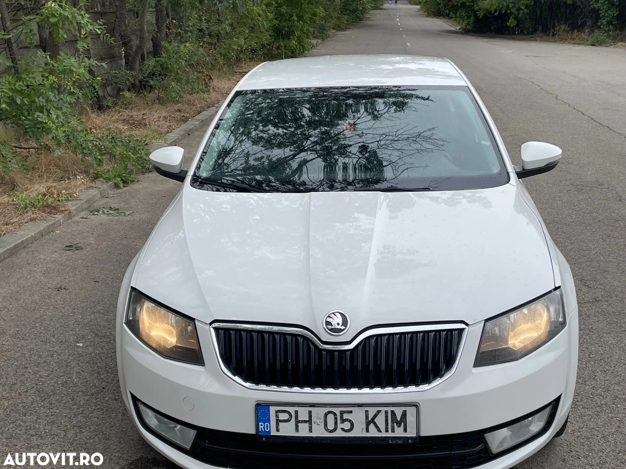 Skoda Octavia - 7