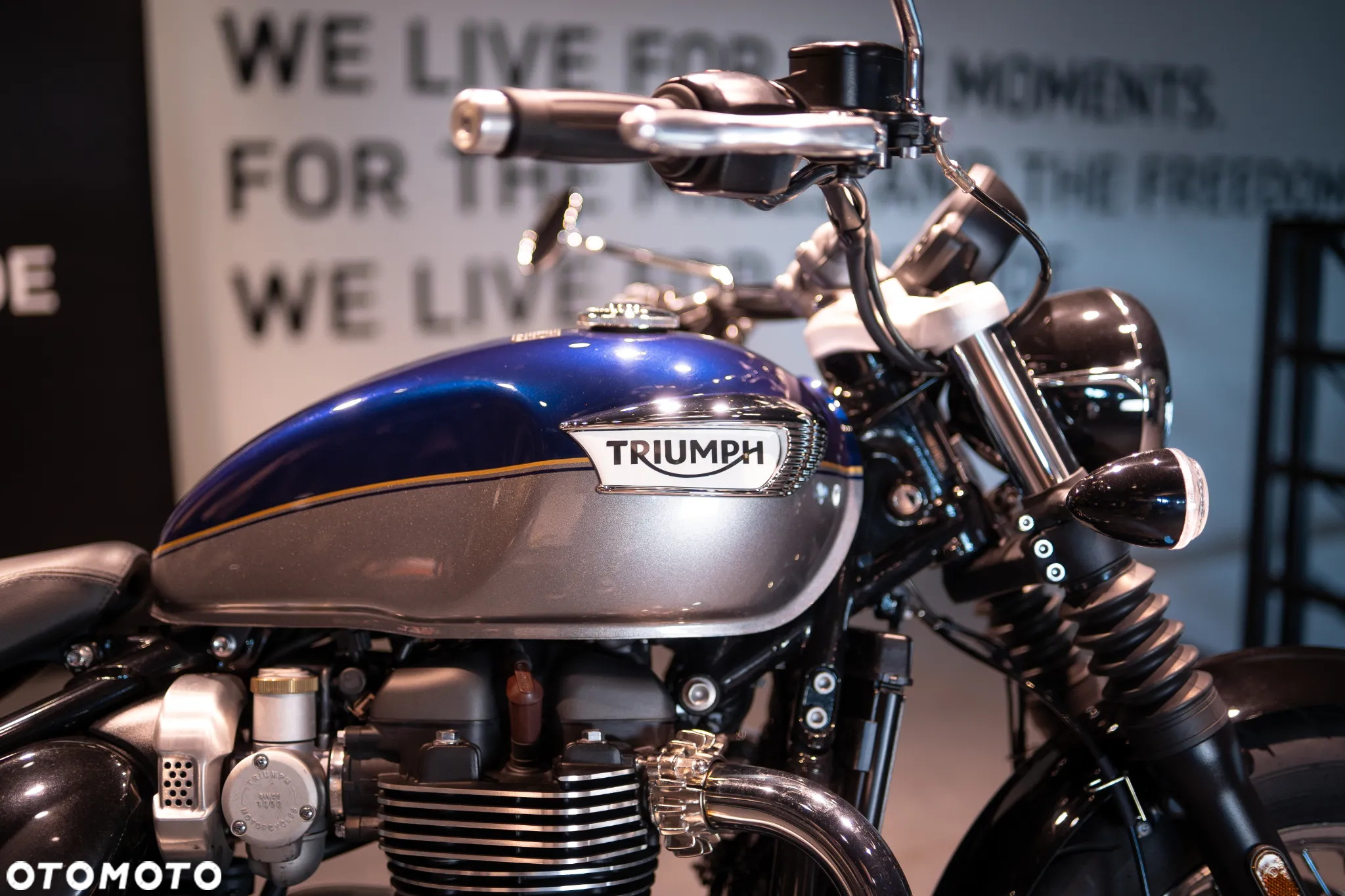 Triumph Speedmaster - 18