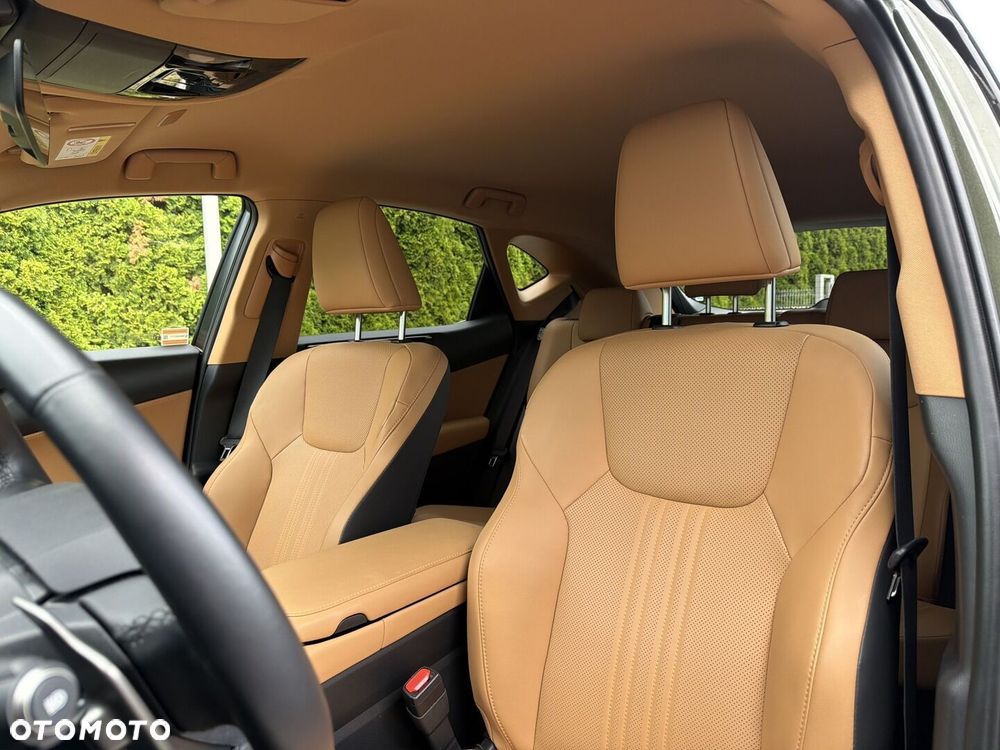 Lexus NX - 15