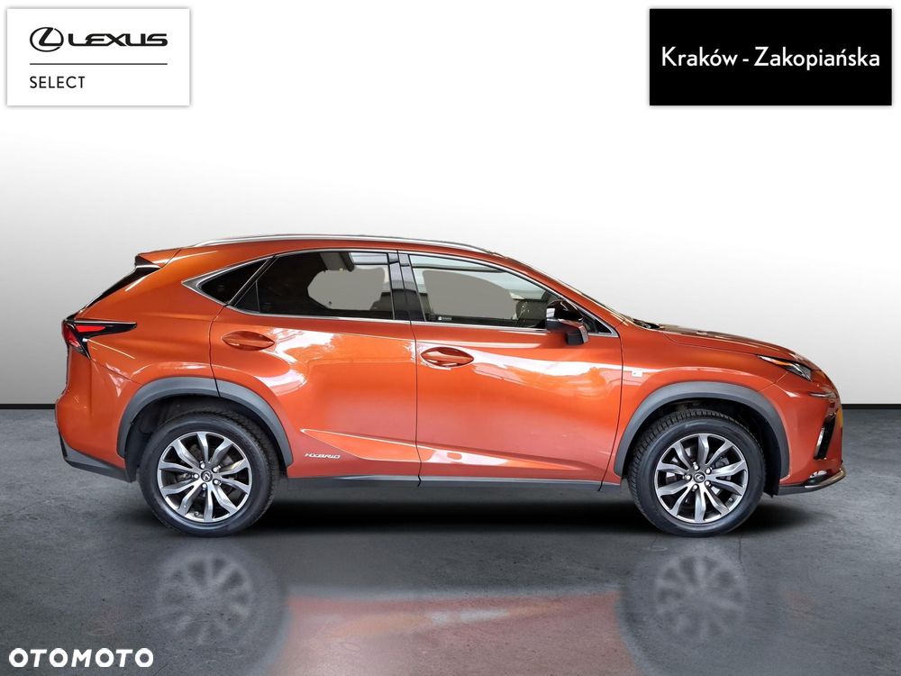 Lexus NX 300h F Sport Edition AWD - 7