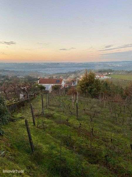 Vende-se quinta em Tibaldinho - Grande imagem: 3/11