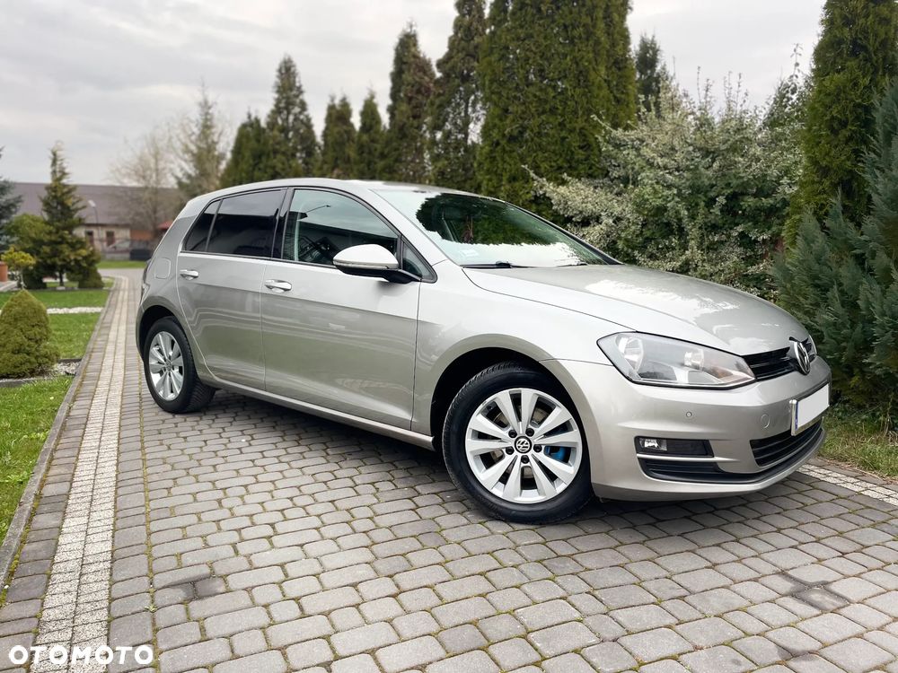Volkswagen Golf 1.6 TDI BlueMotion Trendline - 15