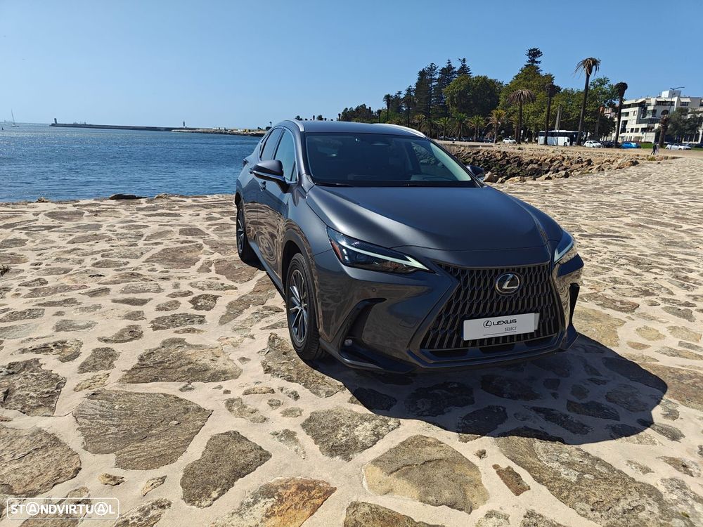 Lexus NX 450h+ Executive - 7