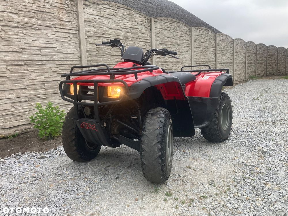 Honda TRX - 19
