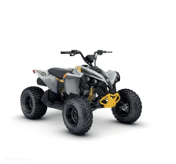 Can-Am Renegade