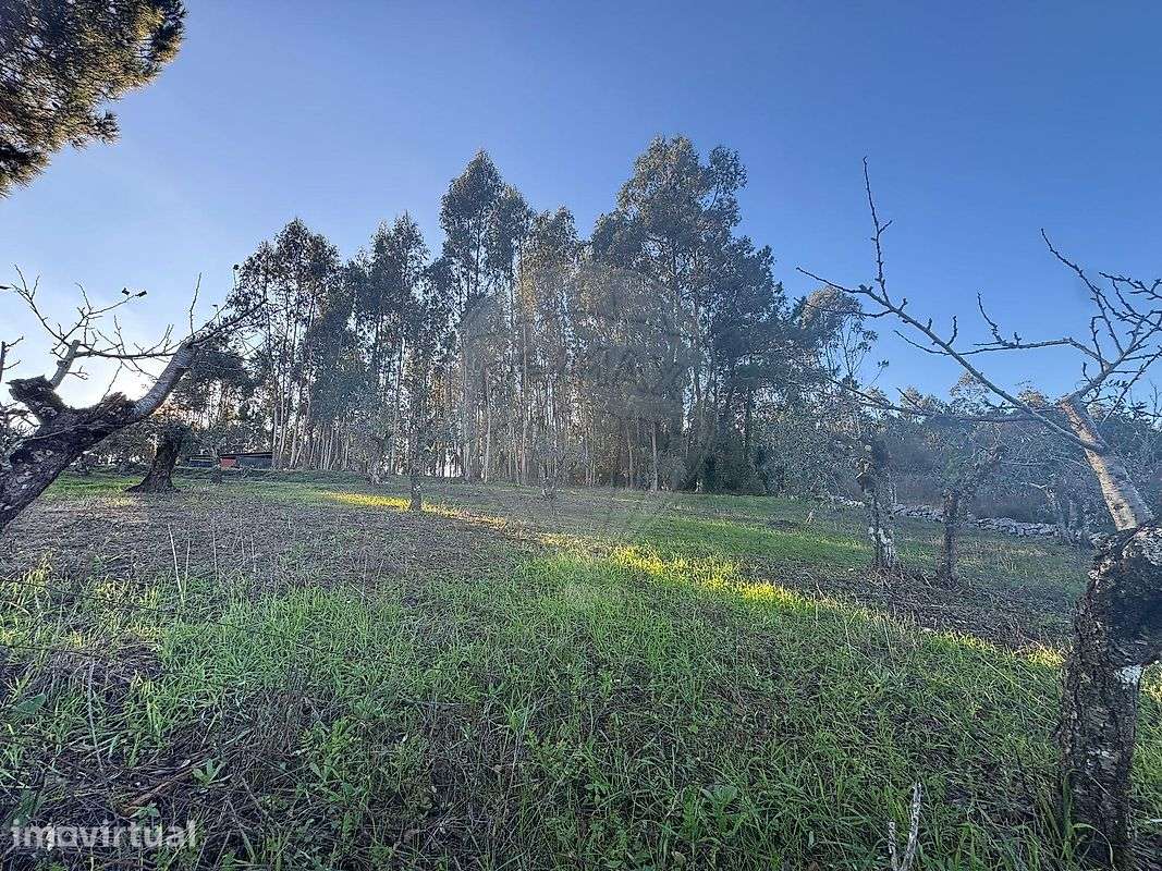 Terreno  para venda - Grande imagem: 2/13