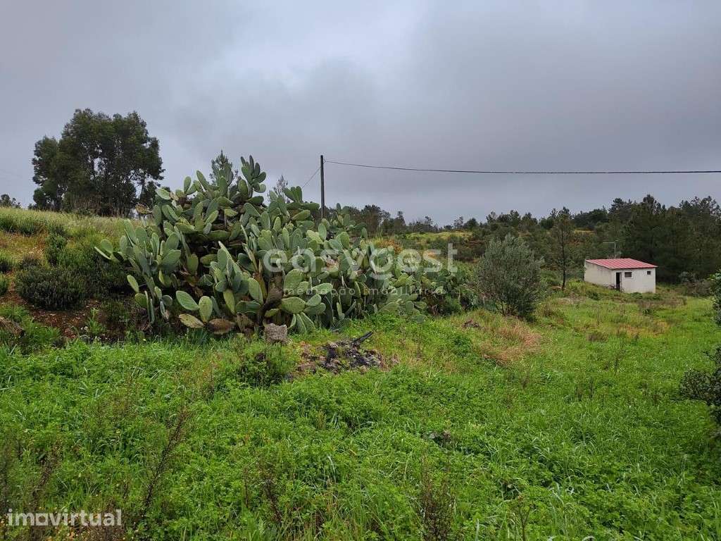 Casa Independente na aldeia de São Domingos próximo de Sarzedas - Grande imagem: 4/40
