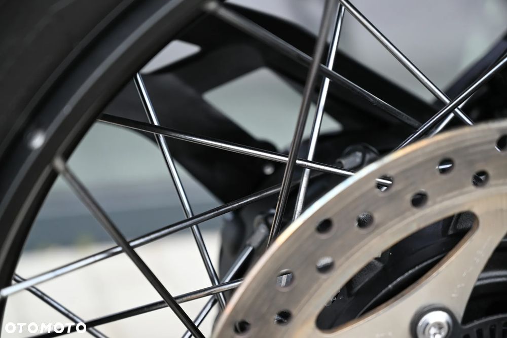 Triumph Tiger - 28