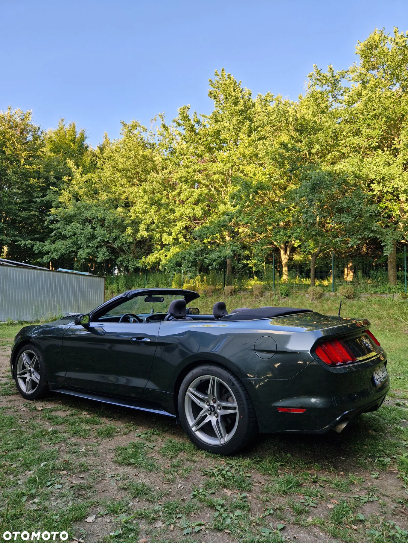 Ford Mustang 3.7 V6 - 8