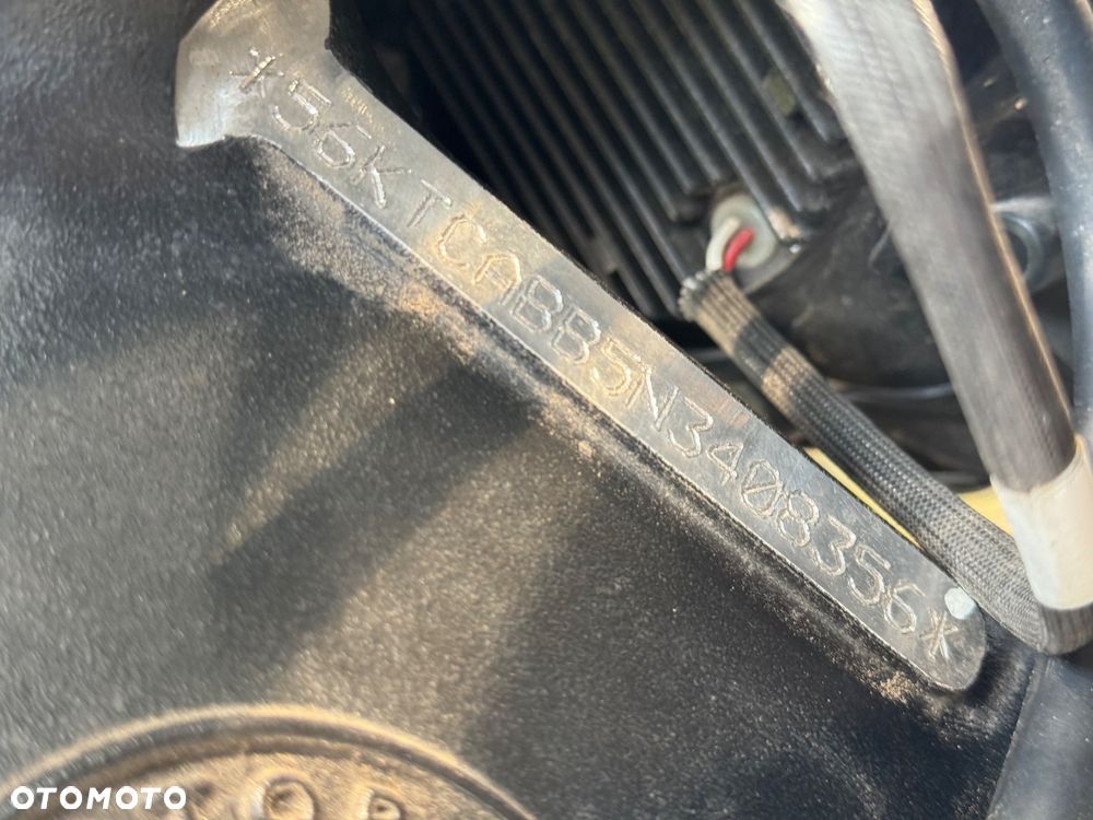 Indian Chieftain - 34