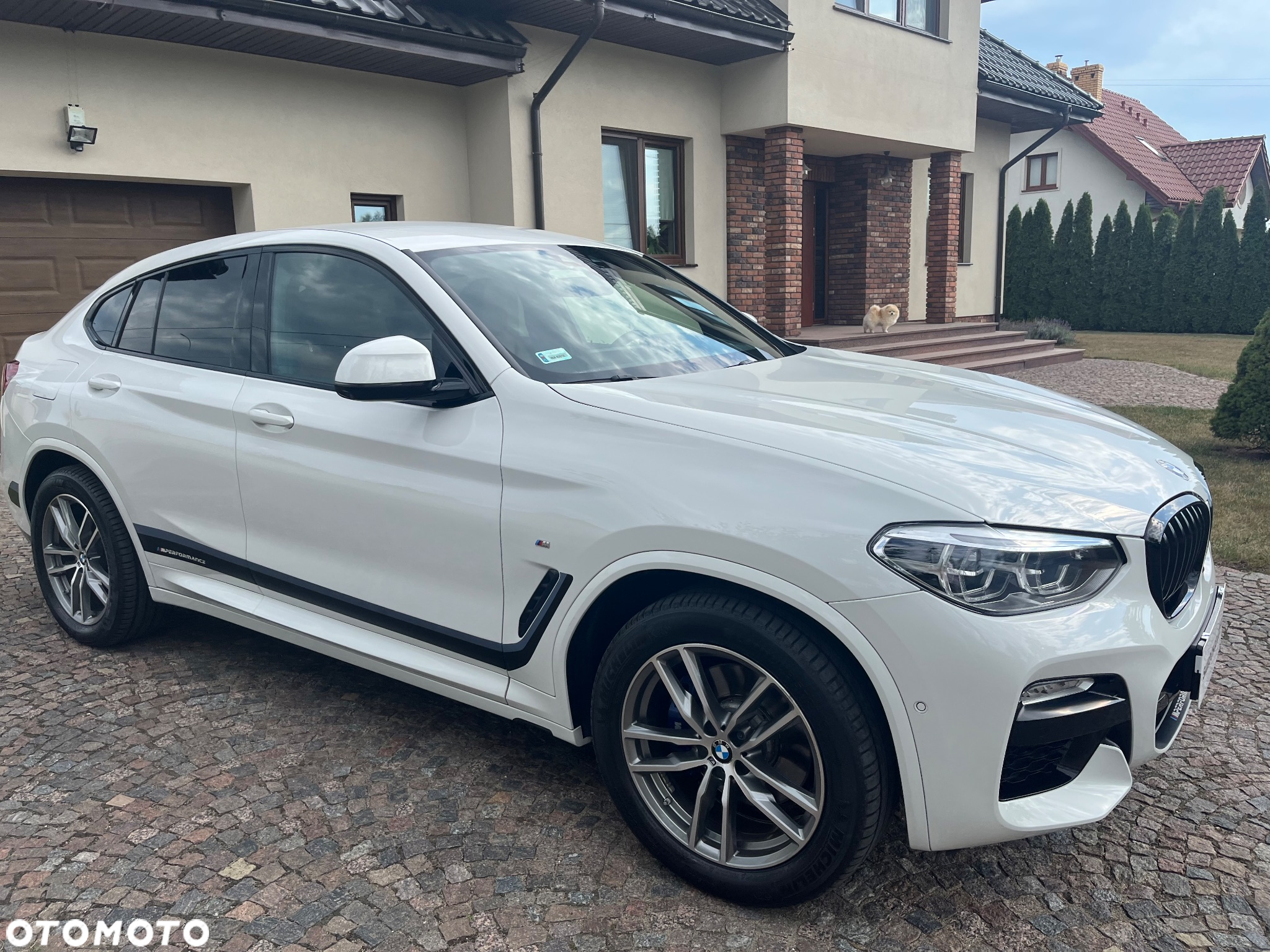 BMW X4 xDrive25d M Sport sport - 7