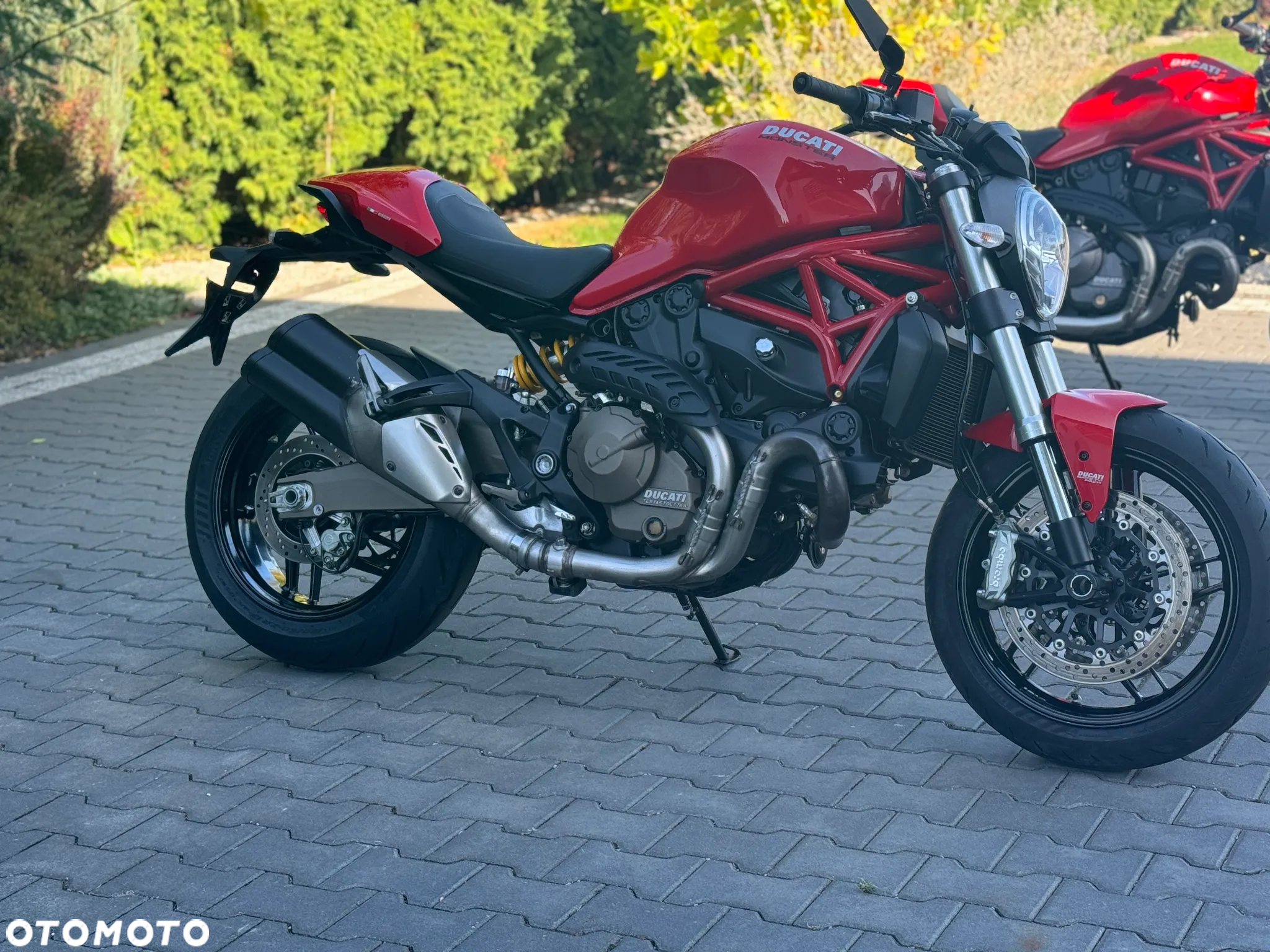 Ducati Monster - 2