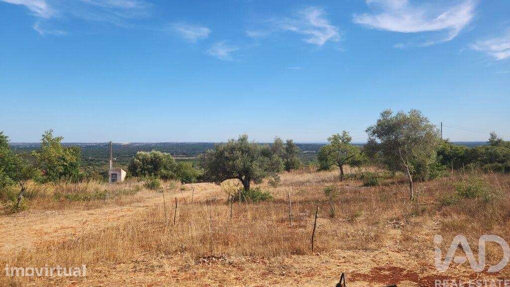 Terreno Agrícola em São Bartolomeu de Messines - Grande imagem: 5/24