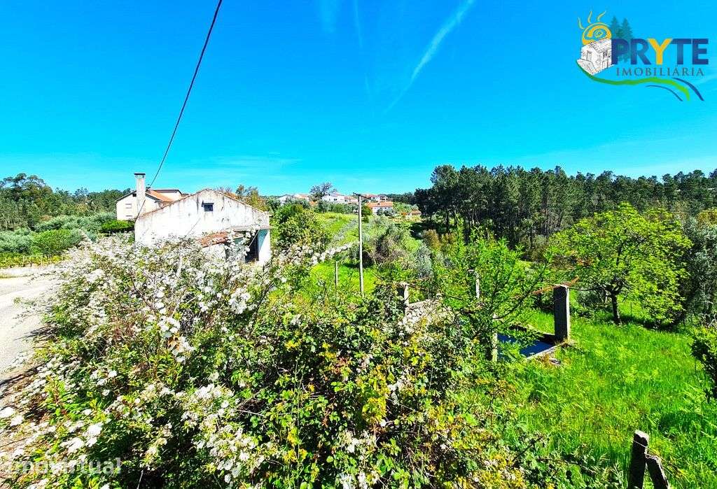 Quinta para recuperar situada a poucos minutos da Vila da Sertã - Grande imagem: 4/37
