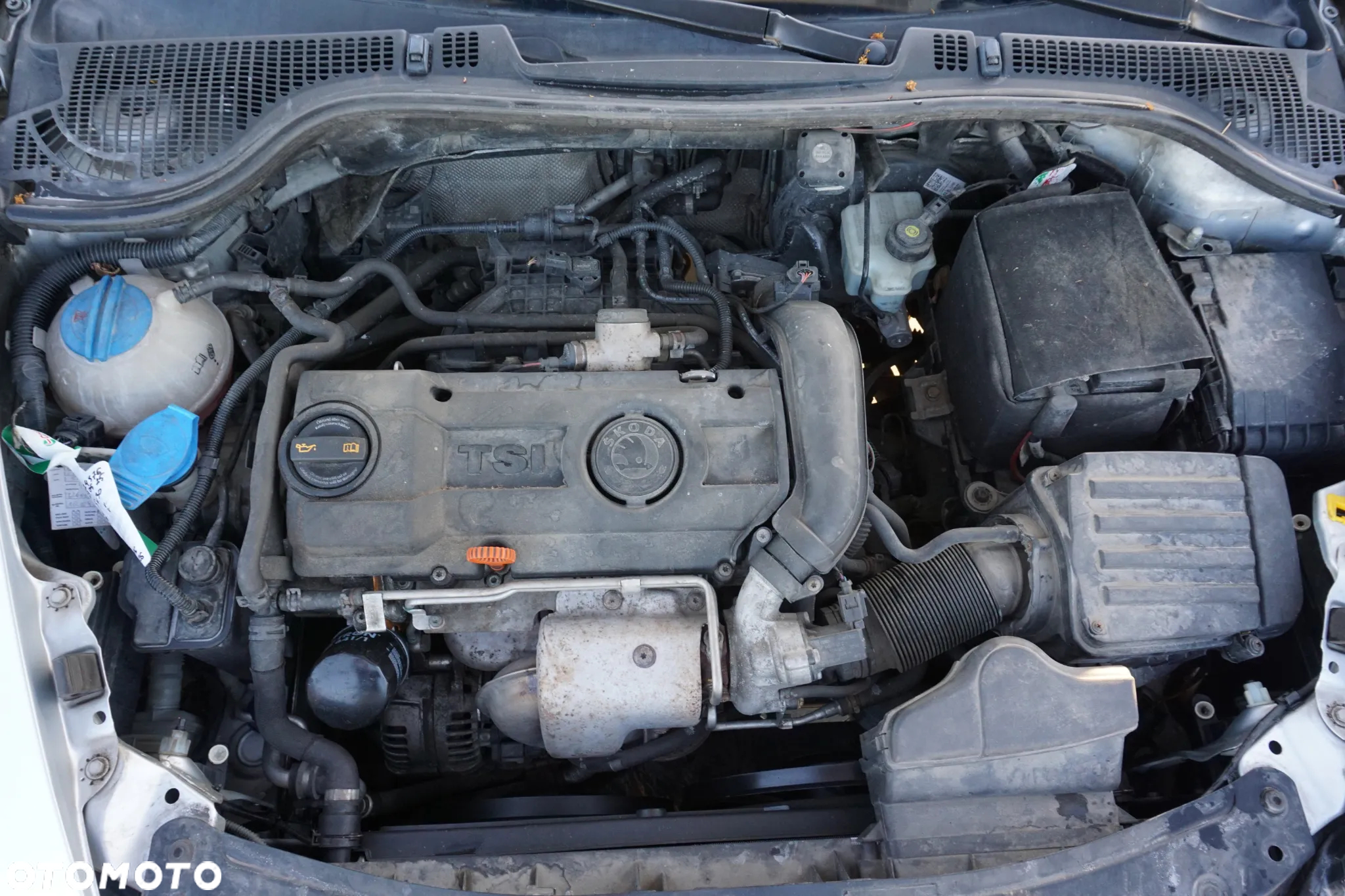 Skoda Octavia 1.4 TSI Ambiente - 13