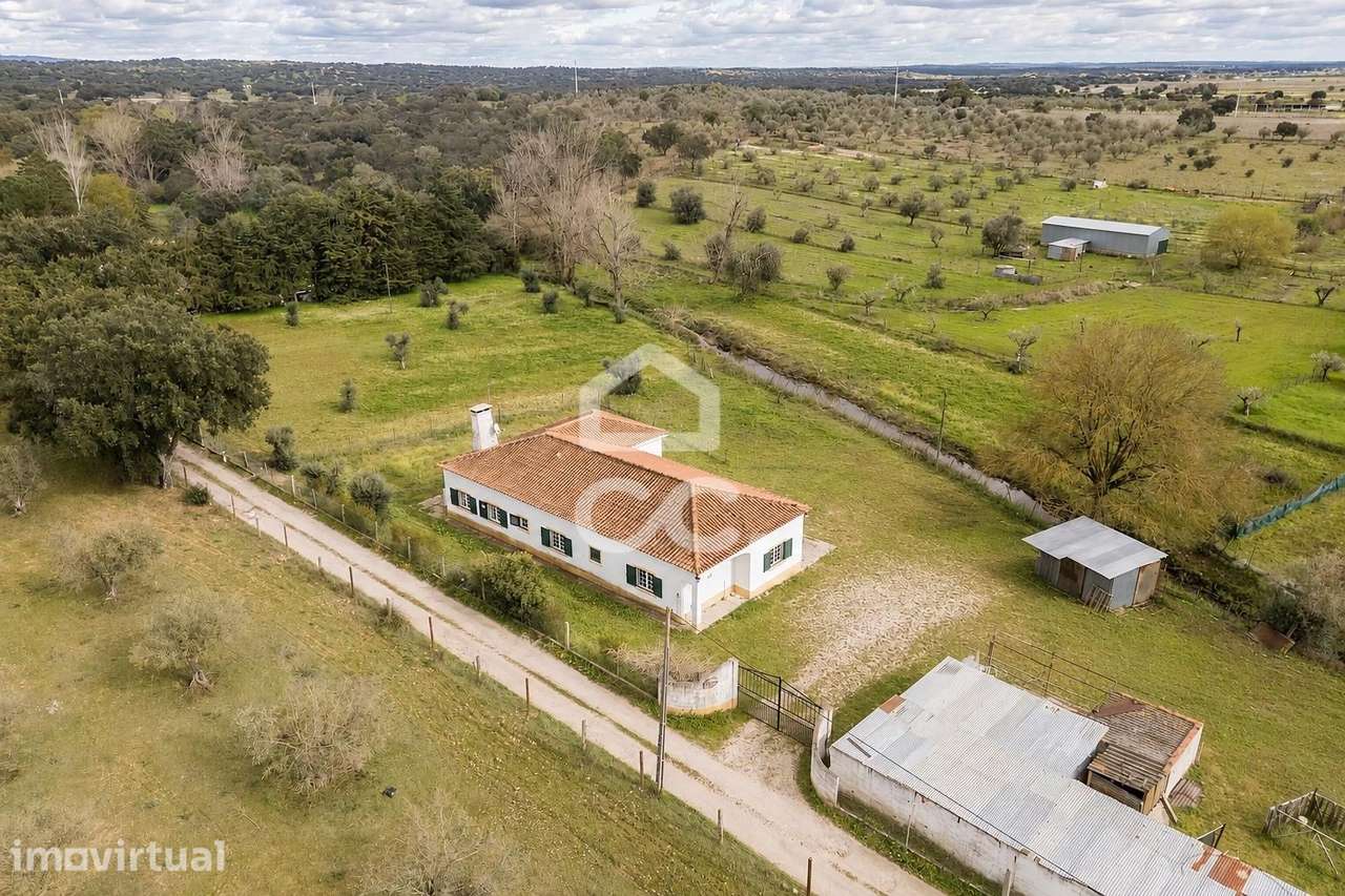 Quinta de 0,7 ha com Moradia T4 e Anexos | Azaruja, Évora - Grande imagem: 5/60