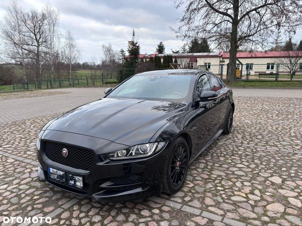 Jaguar Xe 2019 photo 2