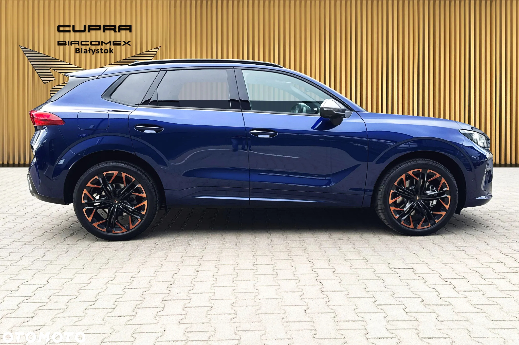 Cupra Terramar 2.0 TSI 4Drive DSG - 7