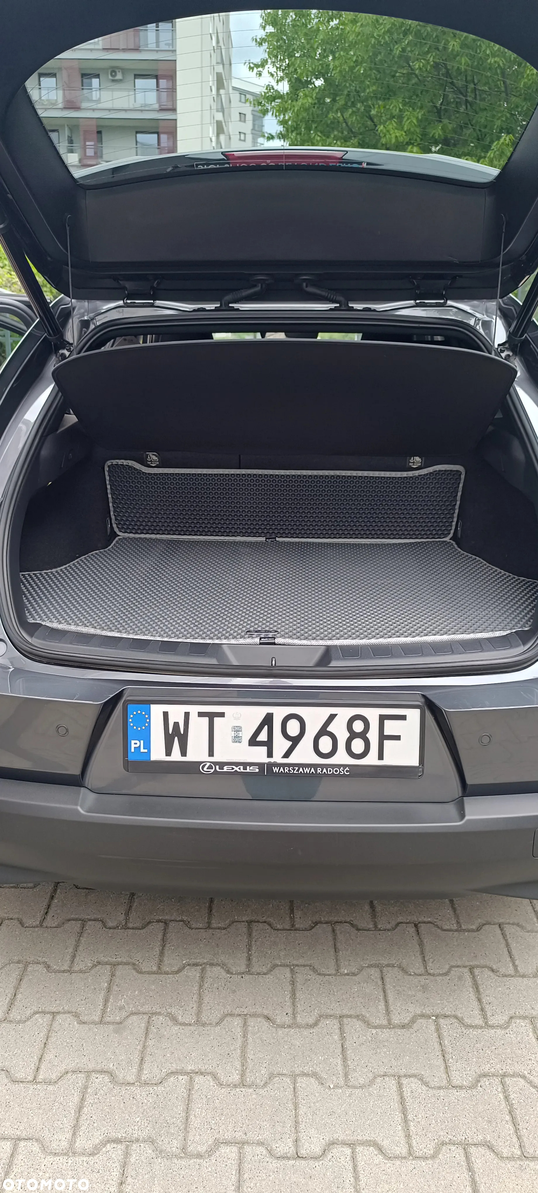 Lexus UX 250h GPF F Impression 2WD - 24