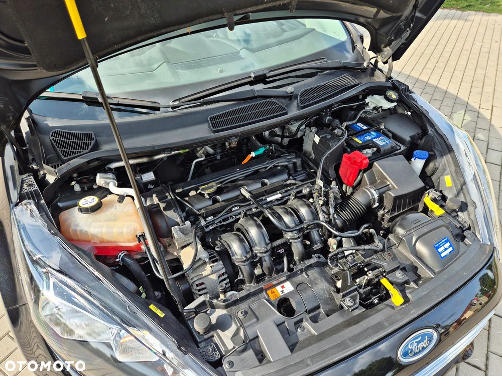 Ford Fiesta 1.25 Champions Edition - 11