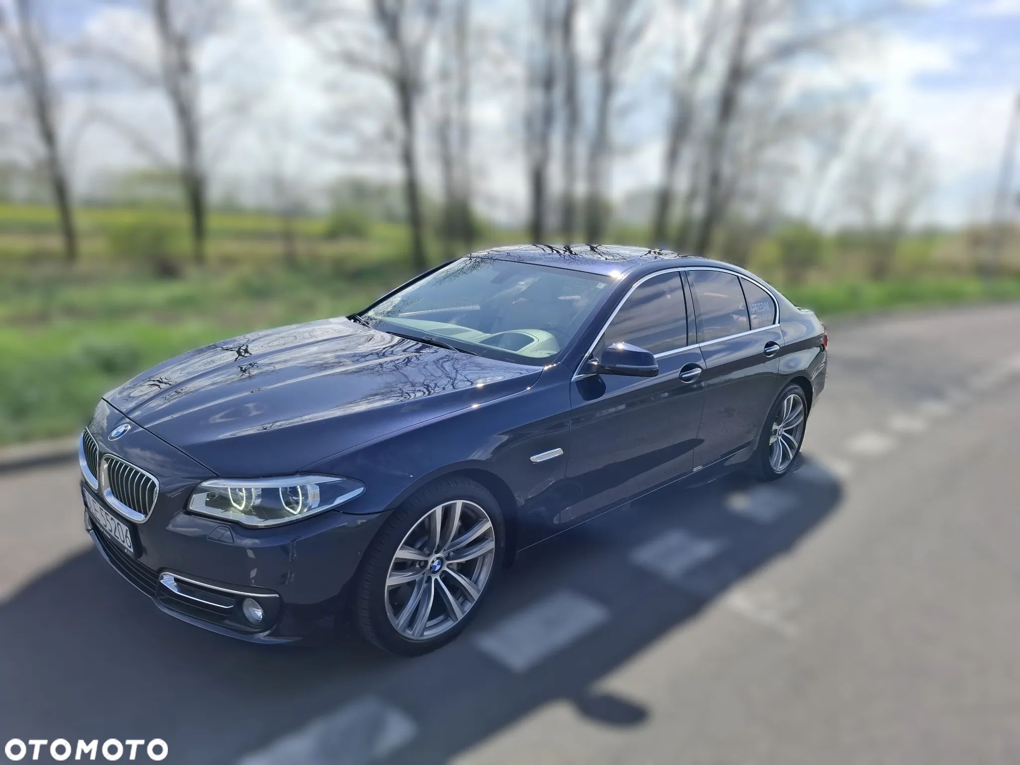 BMW Seria 5 - 1