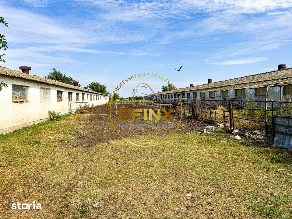 Teren intravilan 62000mp | Ferma | Logistica - depozitare - Imagine principală: 2/15