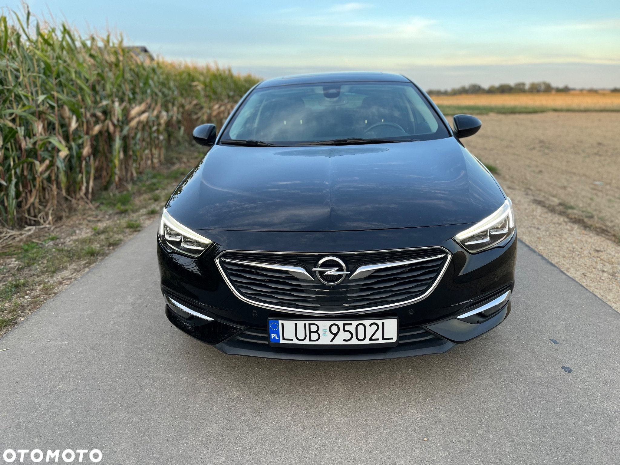Opel Insignia 2.0 CDTI 4x4 Exclusive S&S - 13