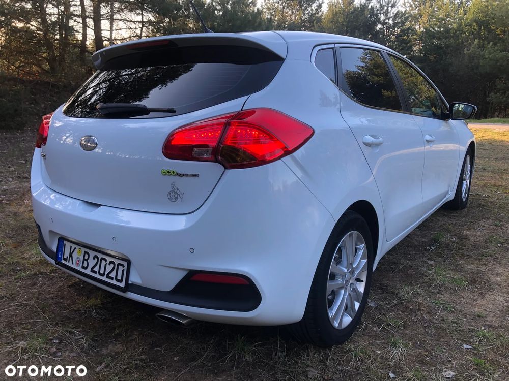Kia Ceed 1.6 CRDi 128 Dream Team Edition - 8
