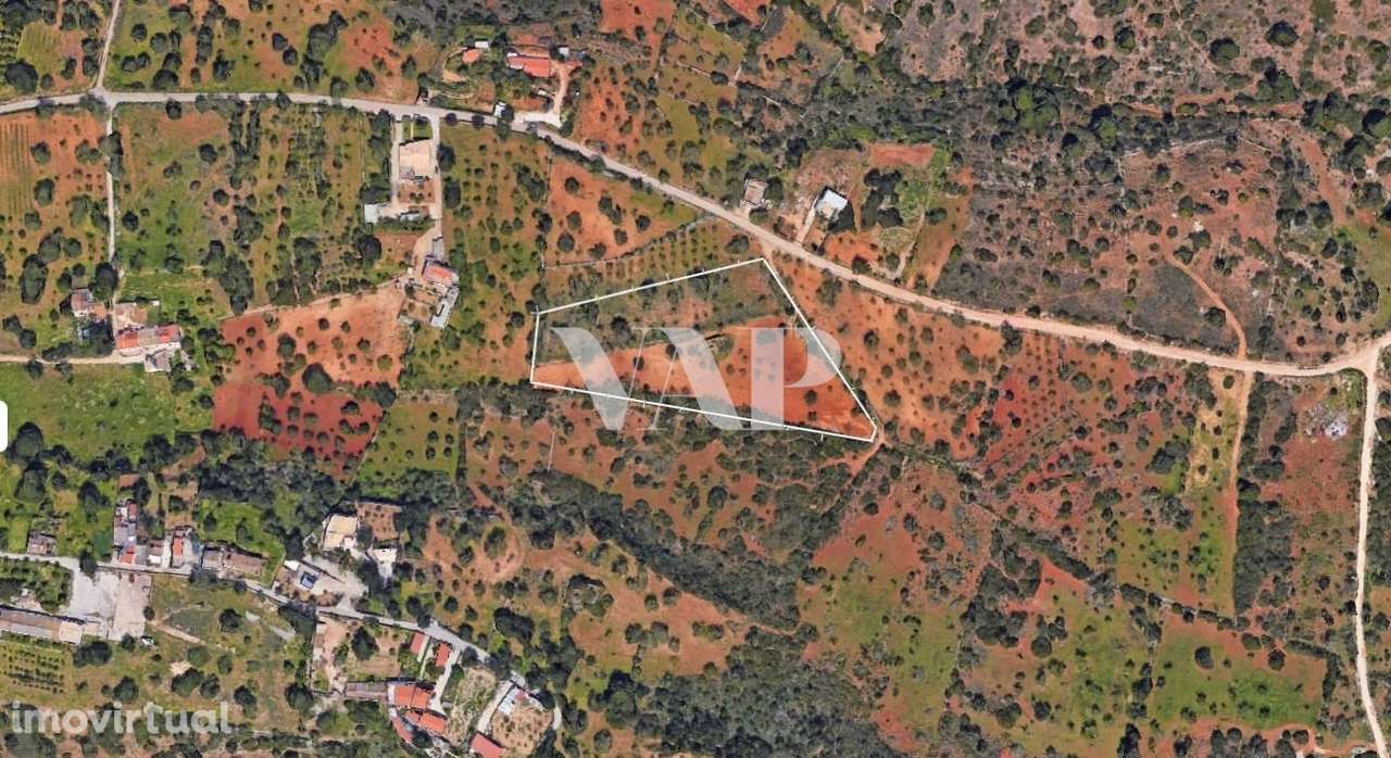 Terreno de 1.1ha para construção em Vale Côvo, Boliqueime - Grande imagem: 3/3