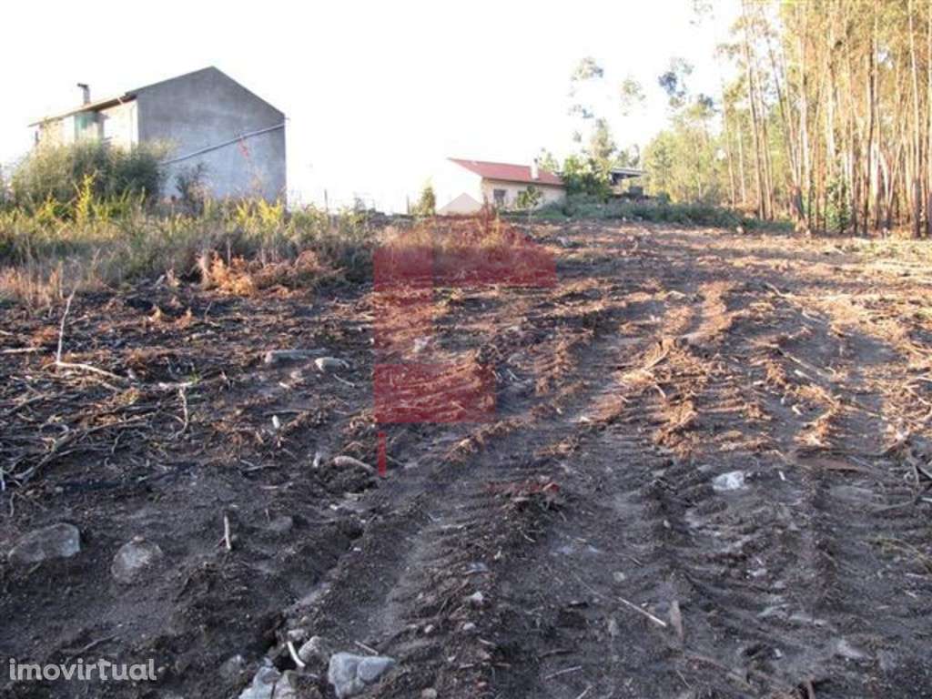 Terreno em floresta produção, Lanhas - Grande imagem: 4/12
