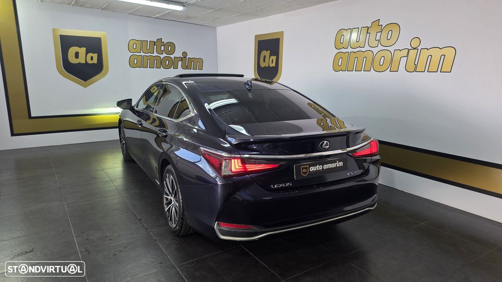 Lexus ES 300h Special Edition - 13