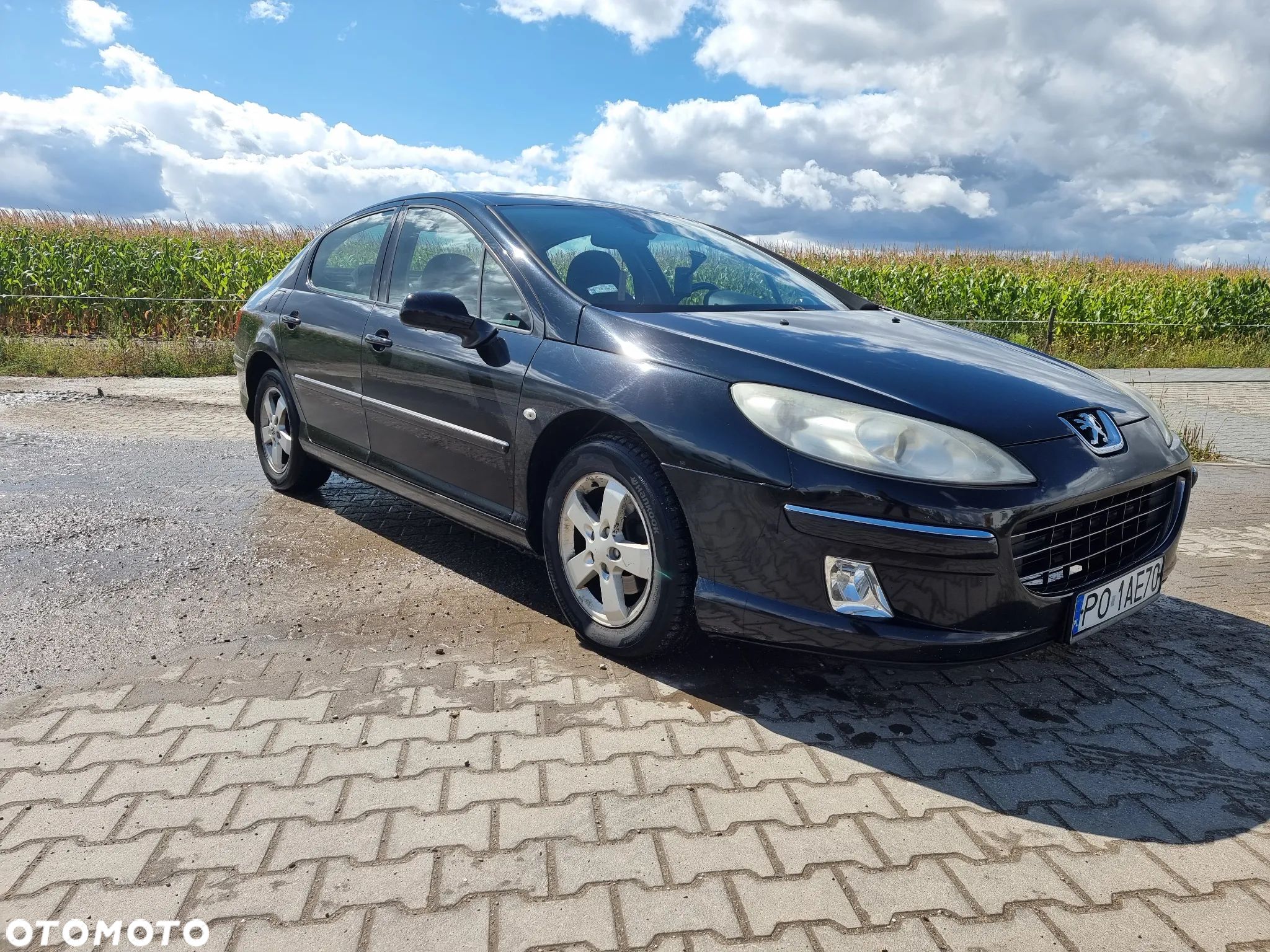 Peugeot 407 2.0 HDI Premium - 1