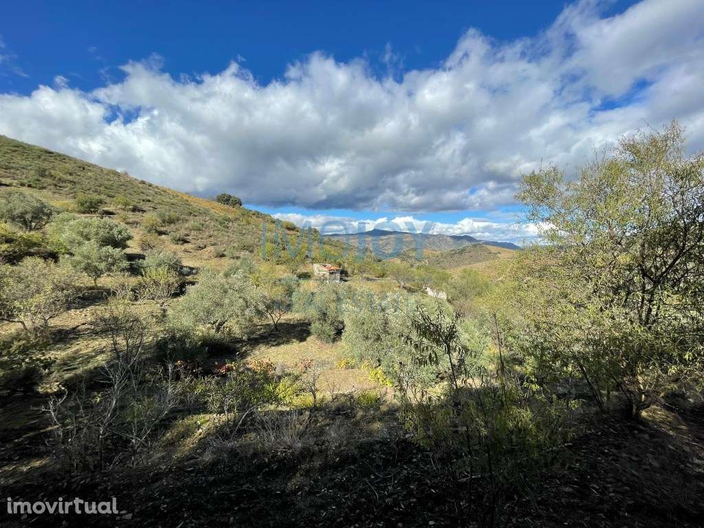 Terreno Rústico em Vila Nova de Foz Côa no Douro - Grande imagem: 4/21