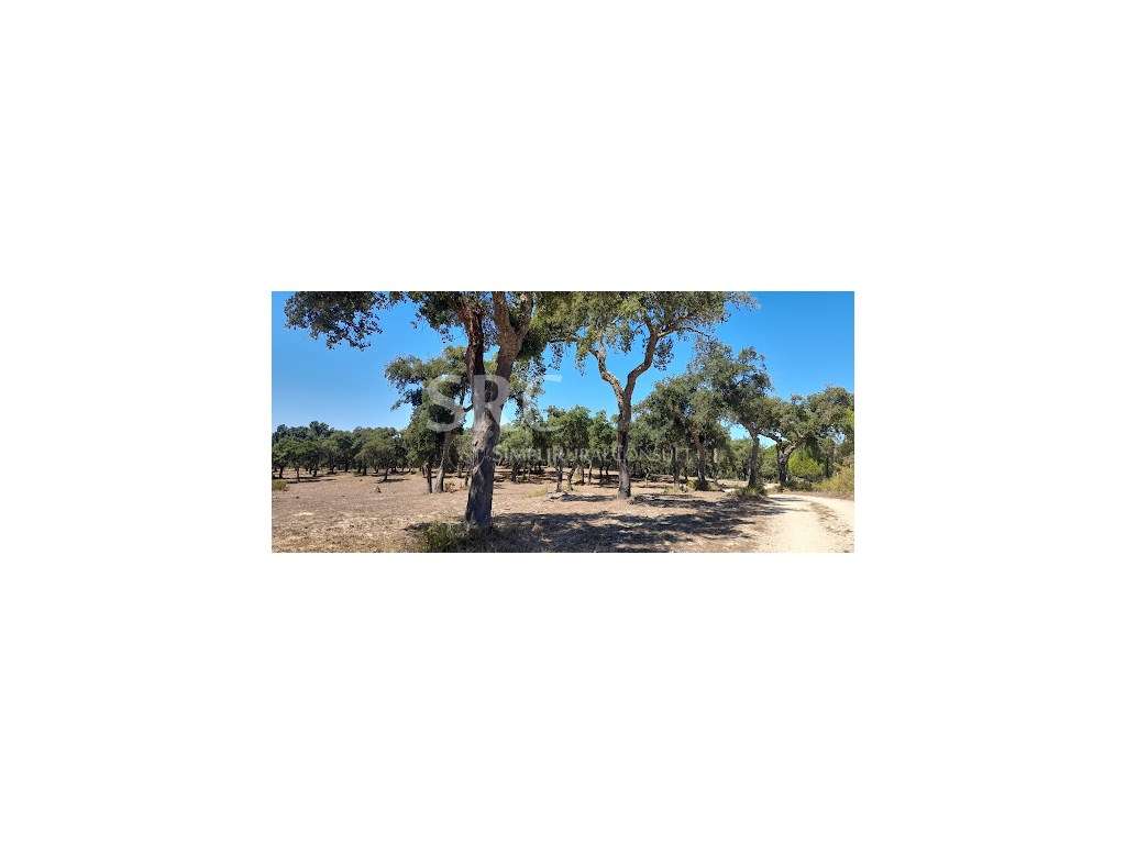 Herdade Mista Vendas Novas - Grande imagem: 3/6