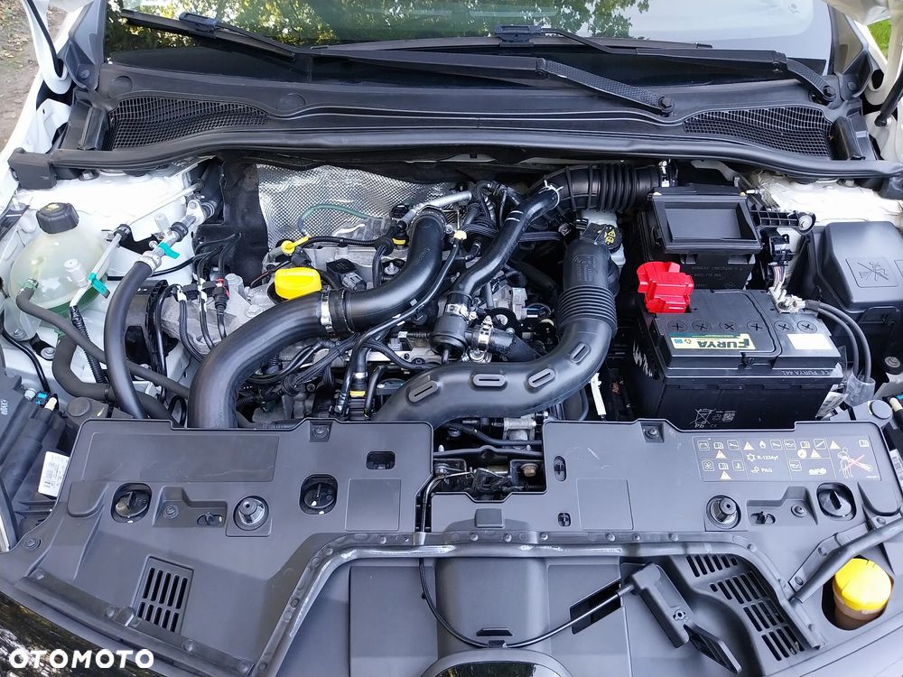 Renault Clio - 14