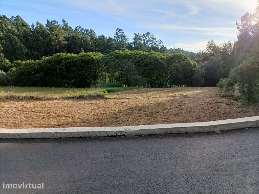 Terreno agrícola em Fornelos - Grande imagem: 2/8