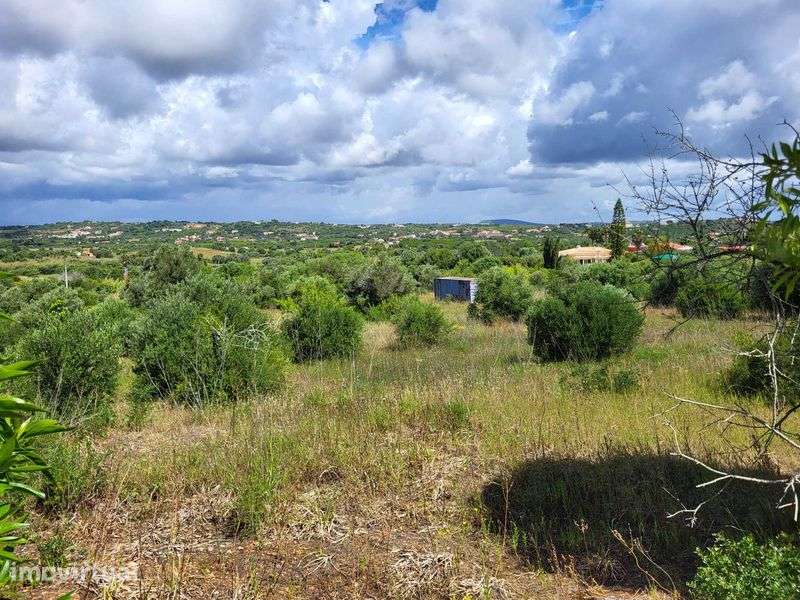 Vendo Terreno com furo água em Algoz - Grande imagem: 3/5
