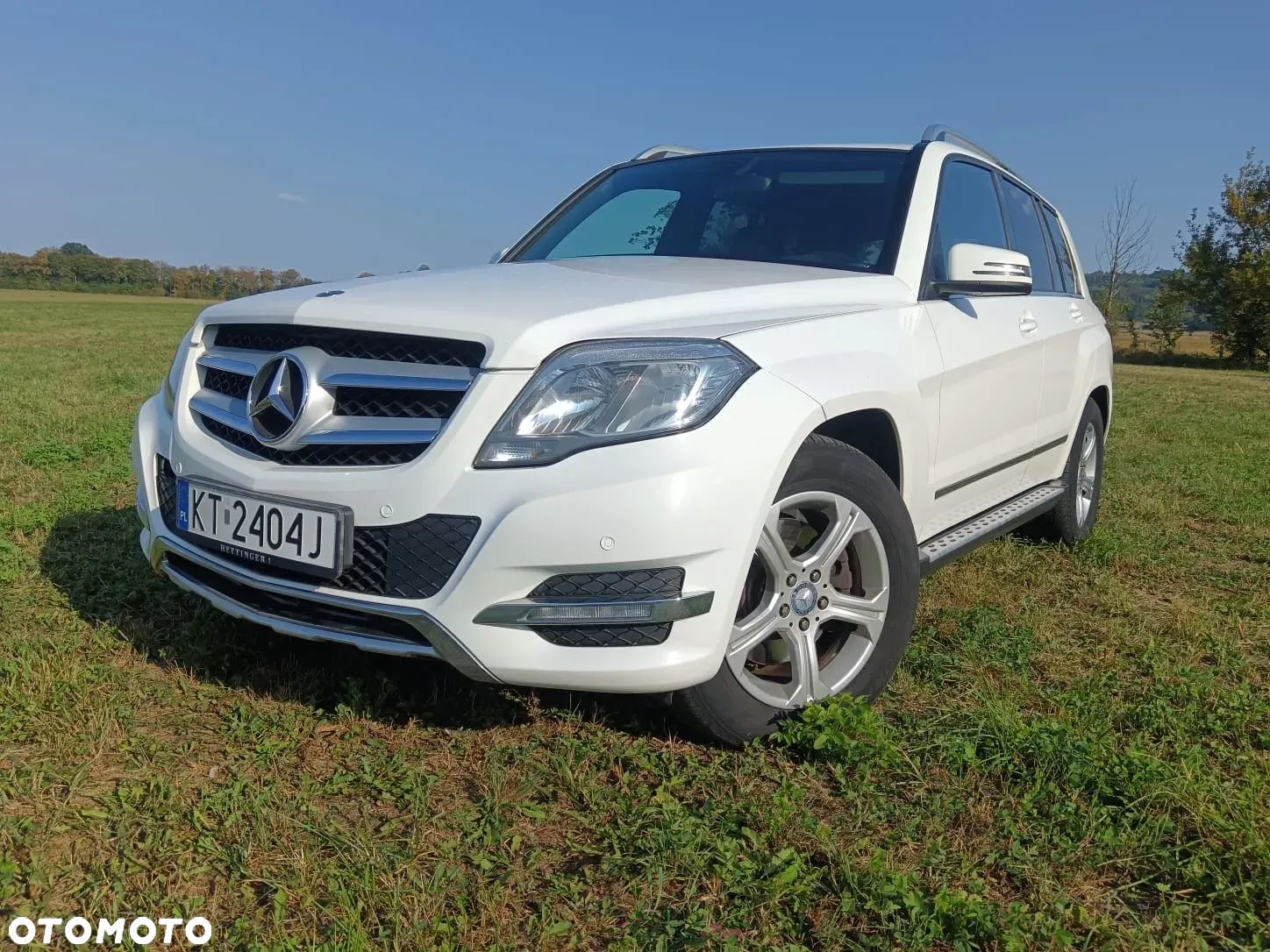 Mercedes-Benz GLK 220 CDI (BlueEFFICIENCY) 7G-TRONIC - 6