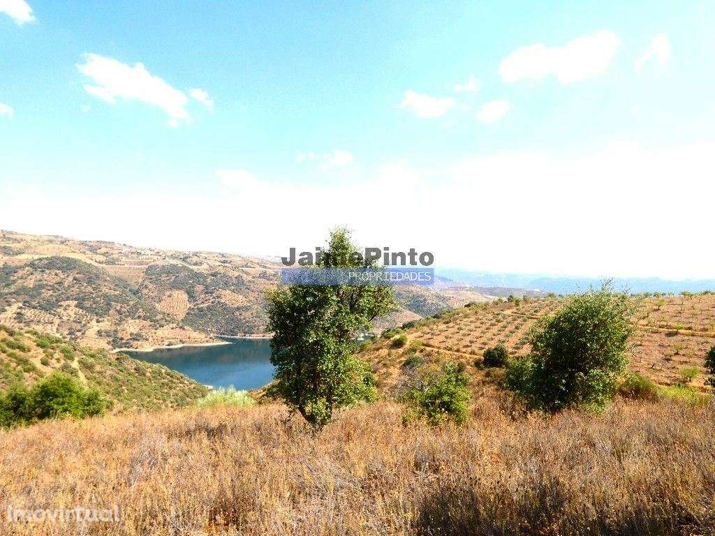 17.500m2 TERRENO rústico, em patamares, Vista Lago Sabor. Portugal,... - Grande imagem: 3/9