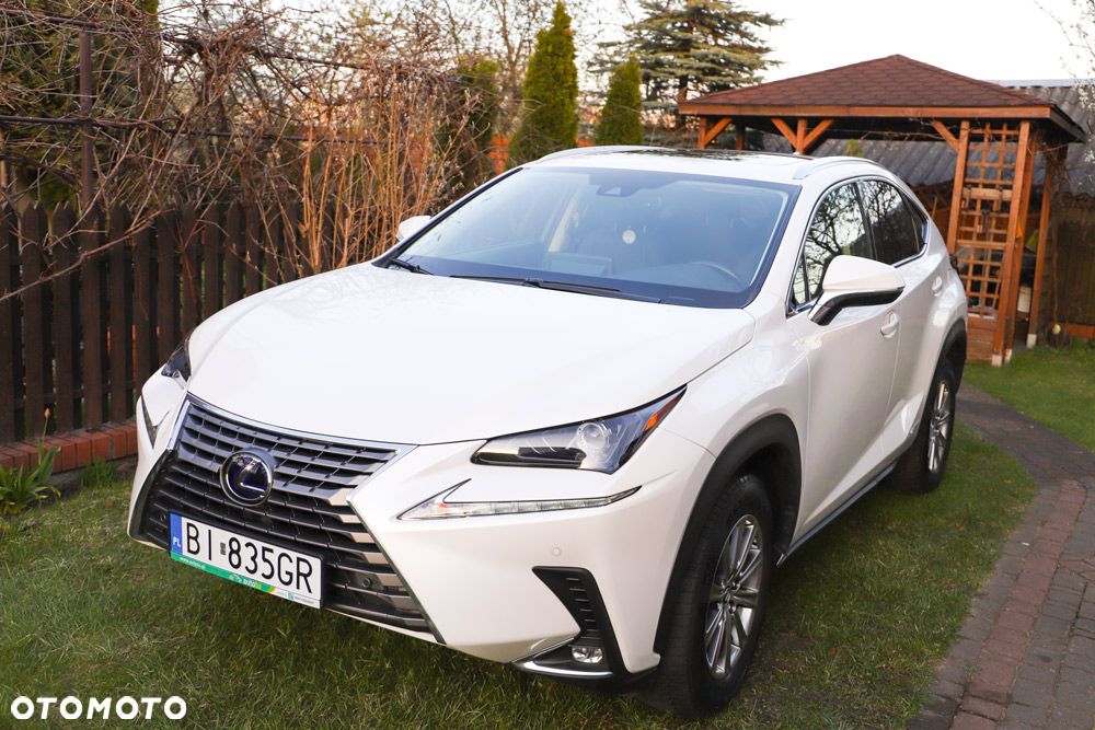 Lexus NX 300h - 1