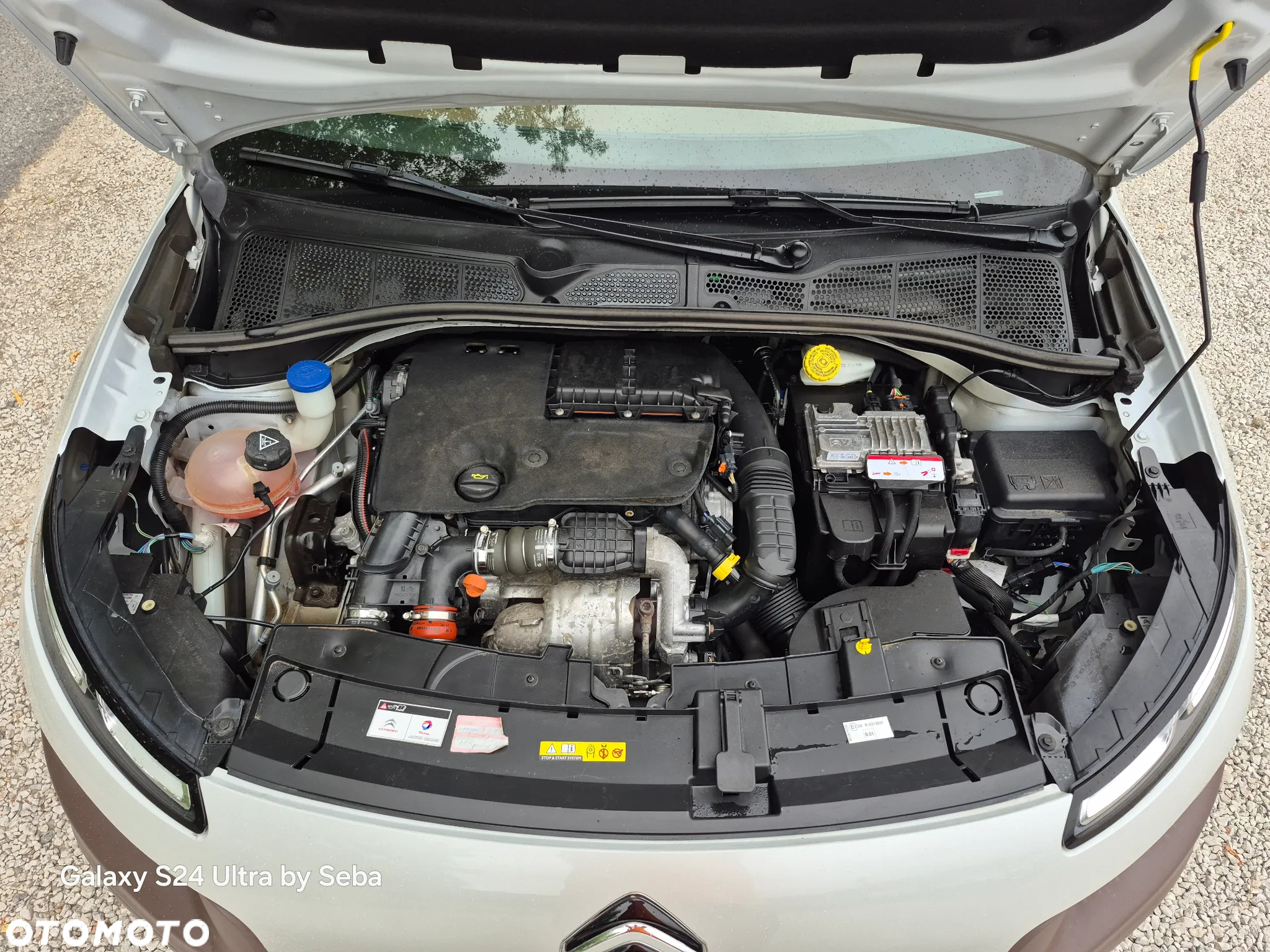 Citroën C4 Cactus 1.6 BlueHDi Shine - 29